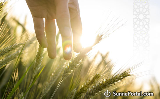 Понятие родины в Исламе