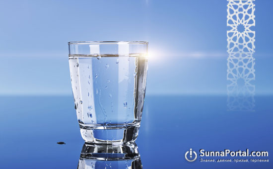 Что является нечистотами (наджаса)?