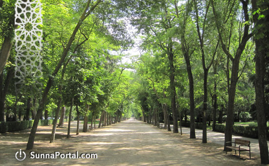 Шейх Фавваз Мадхали о набожном ученом, от которого предостерегали саляфы