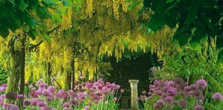 Призыв к благу