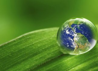 Комментарий Навави к хадису «Мирская жизнь — тюрьма верующего и рай неверующего»