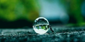 Муравей совершает тяжелую работу