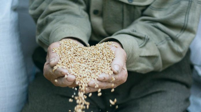 Зерна, которыми дается закят фитр - а можно ли давать деньгами?