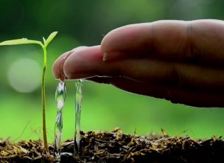 Шейх Фаузан: Не расслабляйтесь после Рамадана