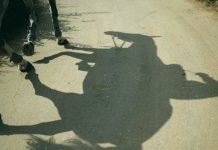 Шейх Мухаммад Базмуль: Что такое хизбия, или излишняя приверженность личностям “Не будь как каретная лошадь!” - хизбия, ее описание