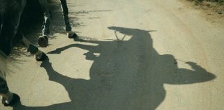 “Не будь как каретная лошадь!” - хизбия, ее описание