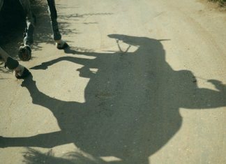 “Не будь как каретная лошадь!” - хизбия, ее описание