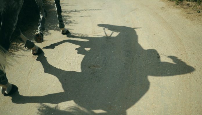 “Не будь как каретная лошадь!” - хизбия, ее описание “Не будь как каретная лошадь!” - хизбия, ее описание