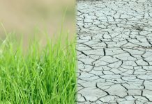 Хадис о намерении - земля плодородная и сухая