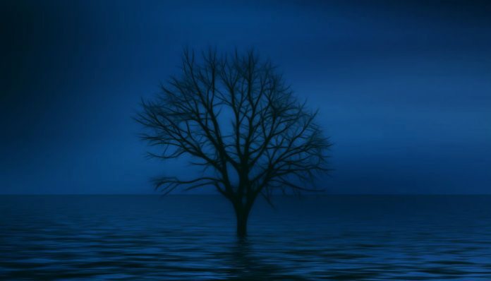 Одинокое дерево (будто бойкот)