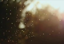 Шейх Раби Мадхали о т.н. «мадхалитах»