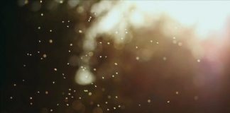 Шейх Раби Мадхали о т.н. «мадхалитах»