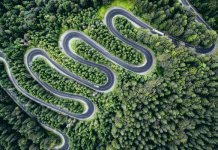 дорога в лесу