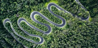 дорога в лесу