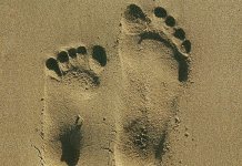 Обязательно ли обучать семью Исламу