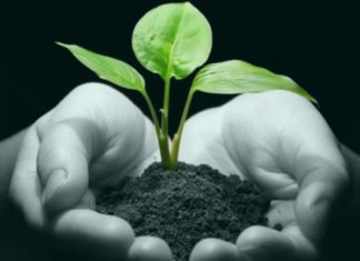 Хадис Пророка ﷺ об обязанности воспитания детей