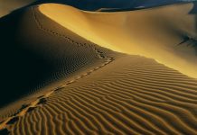 Шейх Аббад: Вероубеждение суннитов в отношении сподвижников Пророка ﷺ Сподвижники - последователи пророка Мухаммада (мир ему и благословение)