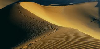 Сподвижники - последователи пророка Мухаммада (мир ему и благословение)