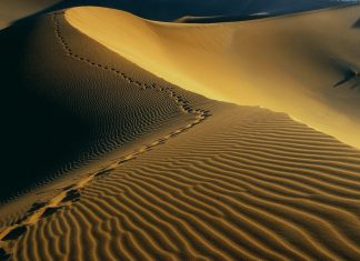 Сподвижники - последователи пророка Мухаммада (мир ему и благословение)