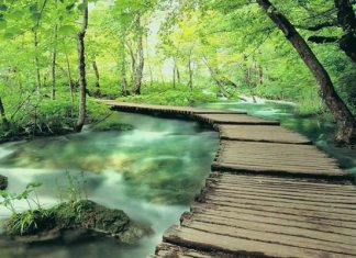 Как удержаться на истинном пути