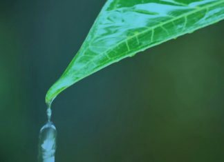 Не переставай усердствовать в совершении благих дел