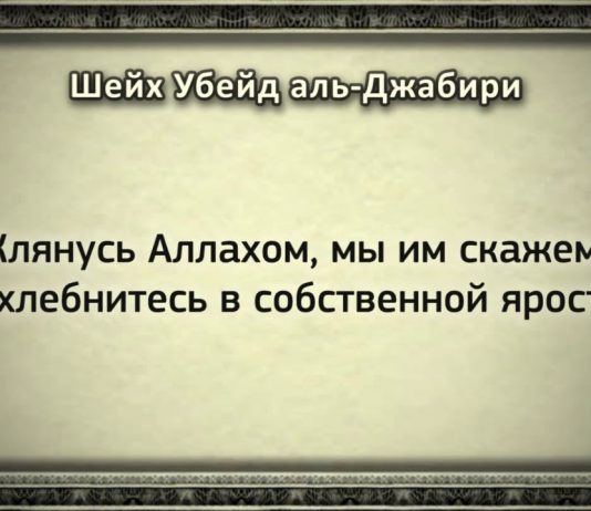 Имам Убейд Джабири: Шейх Абдулла Бухари – выдающийся ученый (‘алляма)