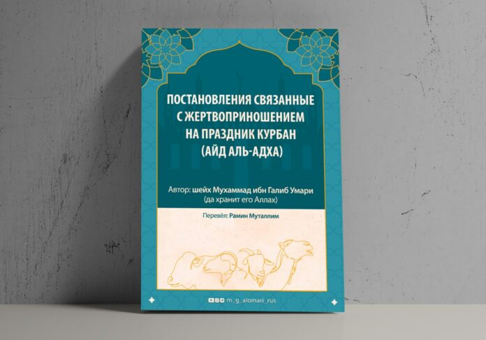 photo_2025-06-04_19-07-34