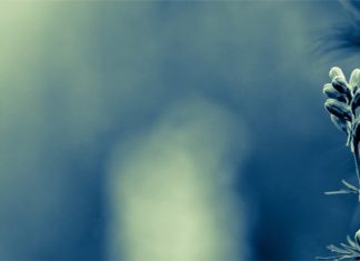 Ответ Фаруку на его десятиминутную запись, которую он выпустил в 8.03.2019 г. — (ч.1)