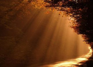 Как найти и следовать истине?