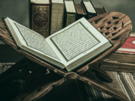 (ОБНОВЛЕНО) Размышления о словах последнего Божьего писания