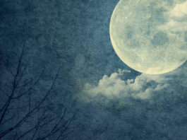 Шейх Ибн Баз: О вымышленном хадисе про крик в пятничную ночь Рамадана