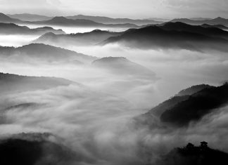 Зачем делать дуа и подчиняться правителю, который притесняет мусульман?