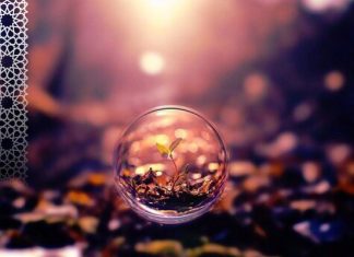 Шейх Саади: Вступление к историям о пророках Аллаха