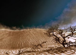 А вы знаете, откуда появилось язычество/политеизм на Земле?