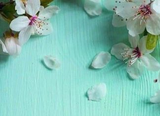 Что обязан делать новообращенный мусульманин и что он обязан оставить и прекратить совершать?