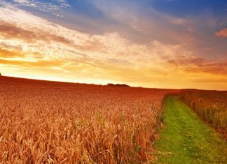 Шестьдесят лет с правителем-тираном лучше, чем одна ночь без правителя — Ибн Таймия