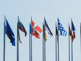 О мусульманских правозащитных организациях, которые публично критикуют органы власти нашей страны