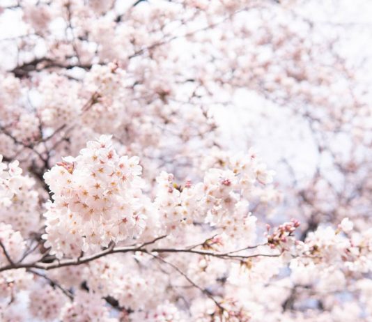 Избыточное количество воды перед началом поста