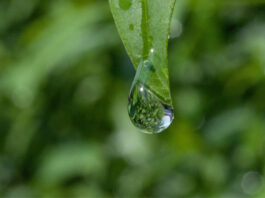 Какие условия протирания платка, который завязан или обмотан на голове — Шейх Арафат Мухаммади